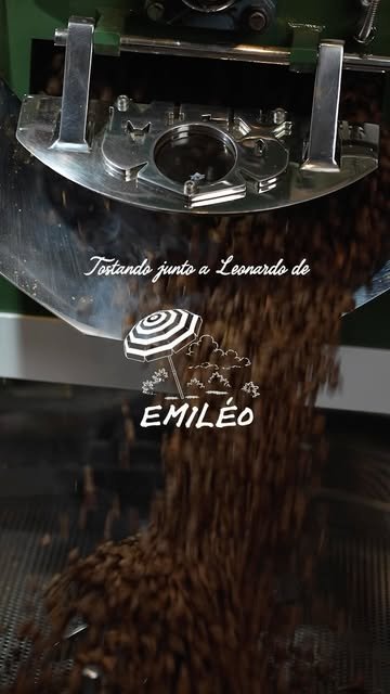 Granos de café recién tostados cayendo de la tostadora de Emiléo