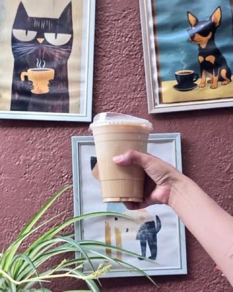 Latte frío frente a cuadros de gato y perro