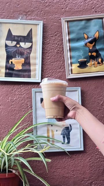 Latte frío de Golden Espresso sostenido frente a cuadros de un gato y un chihuahua tomando café, sobre la pared terracota